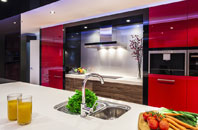 Hylton Red House kitchen extensions